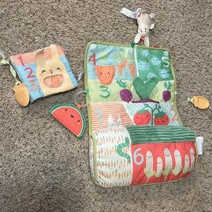 Farmstand Tummy Time Playmat & Farmstand Soft Activity Book!